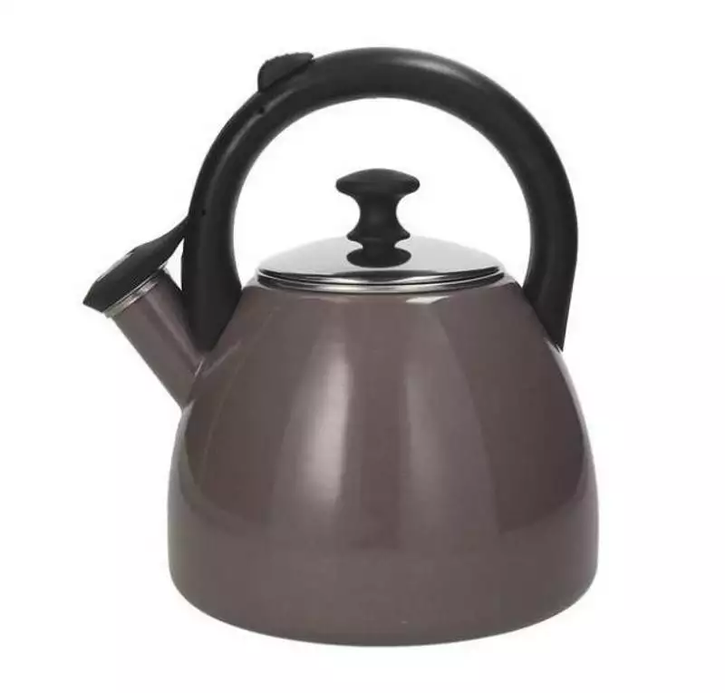 Tognana Oyster Kettle 2.5L