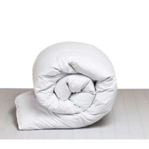 Lifson Linen Goose Feather & Down Duvet Inner