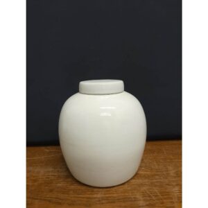 Ginger Jar 7.5"