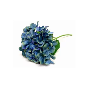 Hydrangea seablue