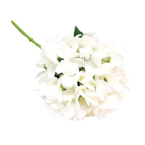 Hydrangea white wonder