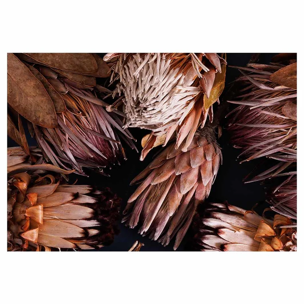 Golden Browns Proteas Rectangular Placemat Golden Browns Proteas Rectangular Placemat