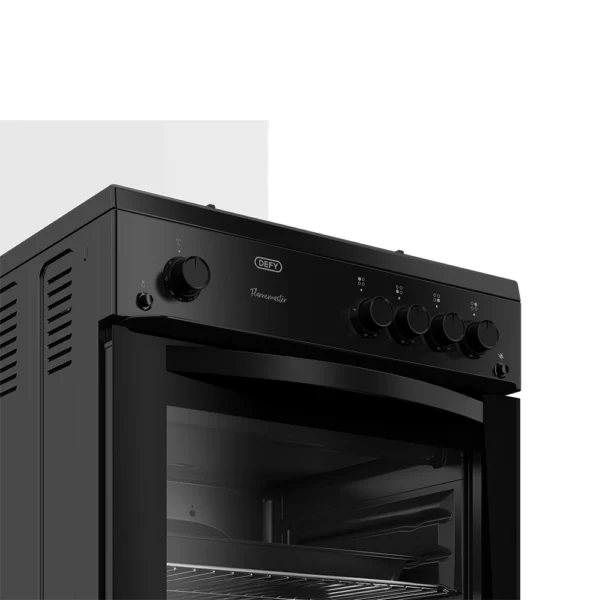 Defy DGS670 Black Gas Stove