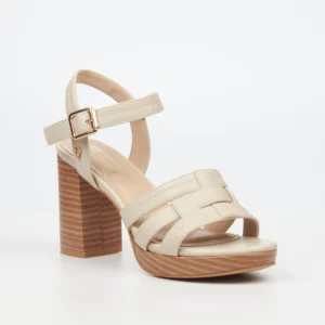 Butterfly Shinae 1 Butterfly Shinae 1