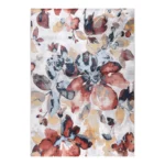Multi-flor Olimpia Rug OL8006 Multi-flor Olimpia Rug OL8006